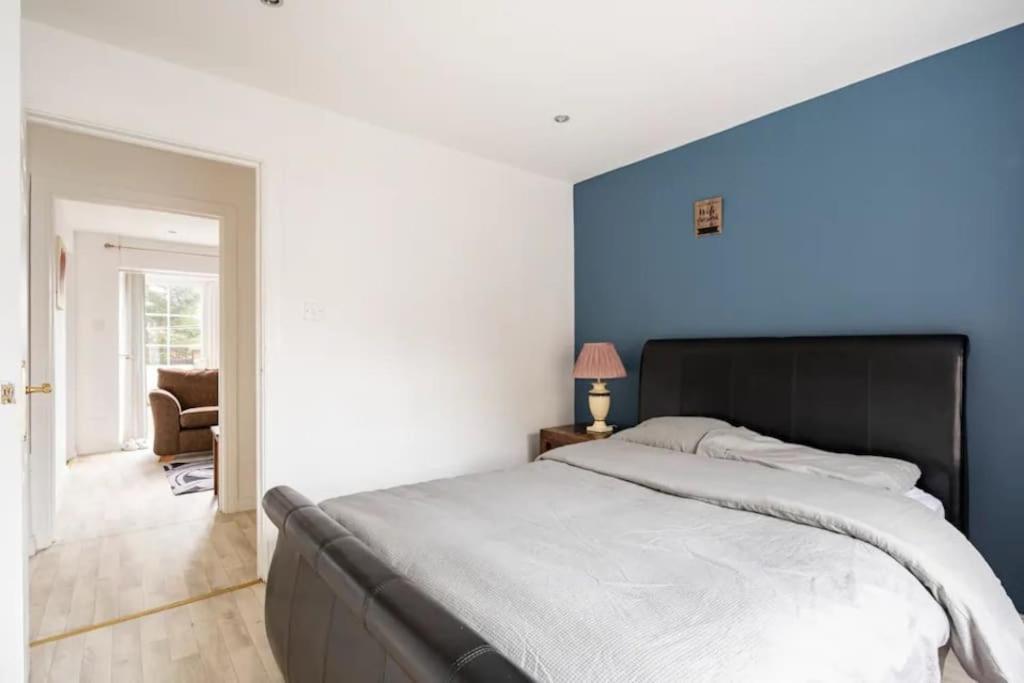 Lovely One Bedroom Flat. Белфаст Екстериор снимка